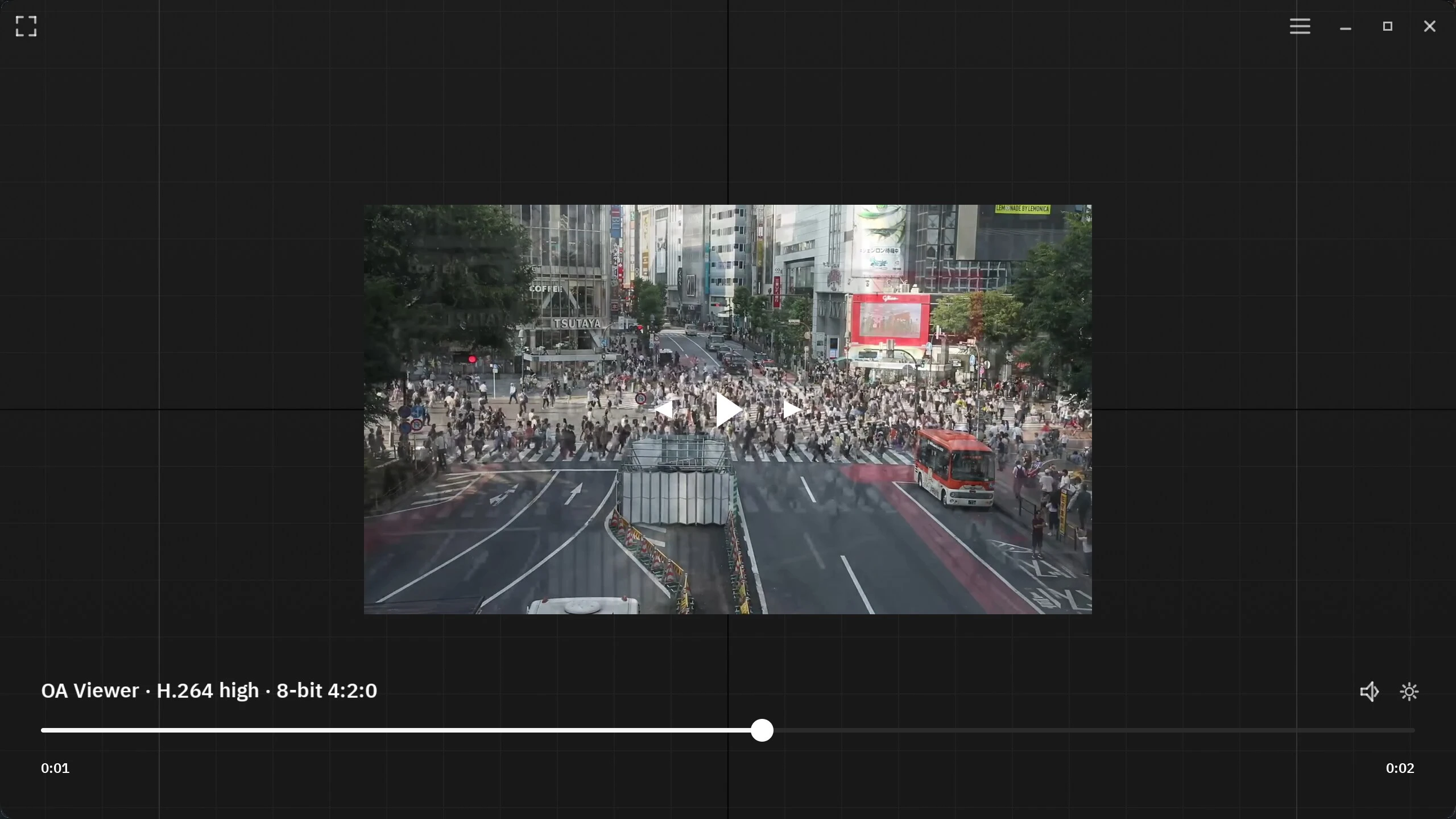 OA Viewer playing an H.264 clip on its navigable grid canvas